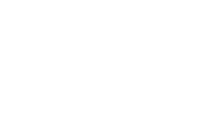 Lynden Door