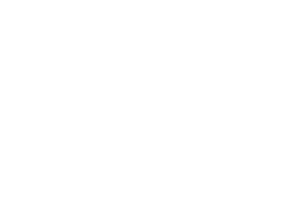 Apollo Inc.