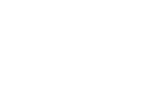 Hansen Rice